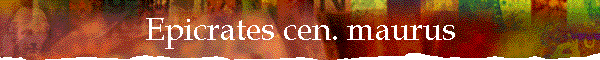 Epicrates cen. maurus