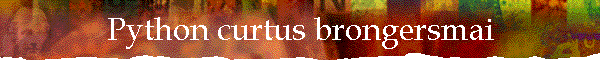 Python curtus brongersmai