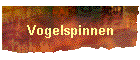 Vogelspinnen